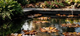 Tuinvijver met afgevallen herfstbladeren op het water